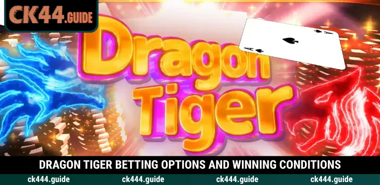 Dragon Tiger at CK444 – Learn the Rules and Betting Options 2 Compare Dragon, Tiger, Tie and Suited Tie outcomes