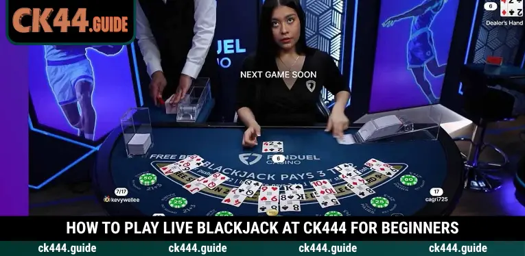 Live Blackjack at CK444 – Master Card Values and Dealer Decisions 2 Learn how to play Live Blackjack at CK444 step by step