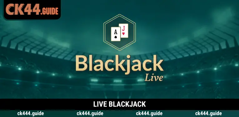 Live Blackjack at CK444 – Master Card Values and Dealer Decisions 3 Live Blackjack