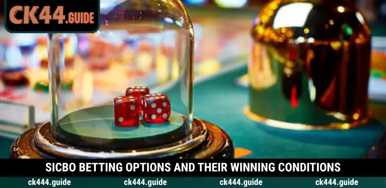 Sicbo at CK444 – Master the Three Dice and Winning Combinations 2 From Big and Small to Double and Triple dice bets