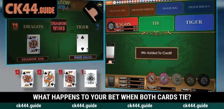 Dragon Tiger at CK444 – Learn the Rules and Betting Options 3 Understand half-stake losses and Tie bet payouts