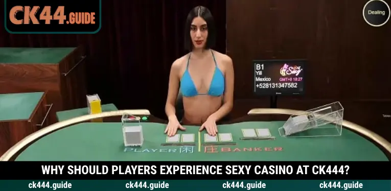 Sexy Casino at CK444 – Discover an Exciting Live Dealer Experience 3 Explore why Sexy Casino is worth playing at CK444